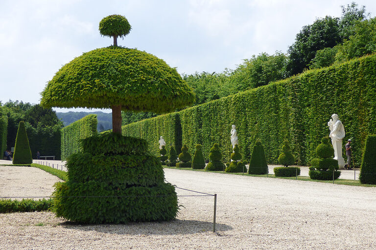 Schlosspark_Versailles_02